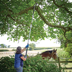 Extendable Pruning Saw by silverline - Desired Dream - Tools stream
